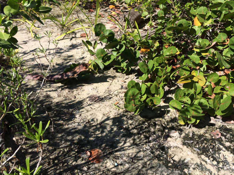 20140128-2056-iPhone