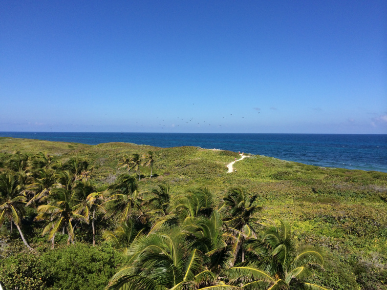 20140128-2056-iPhone 001